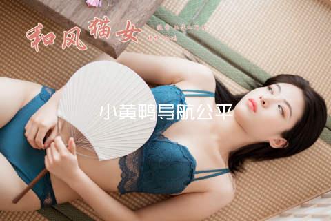 小黄鸭导航公平